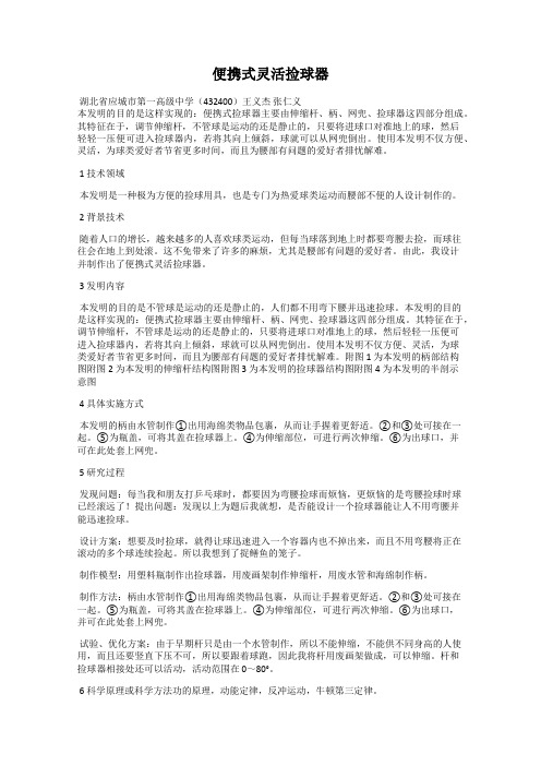 便携式灵活捡球器