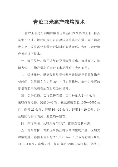 青贮饲用玉米高产栽培技术要点