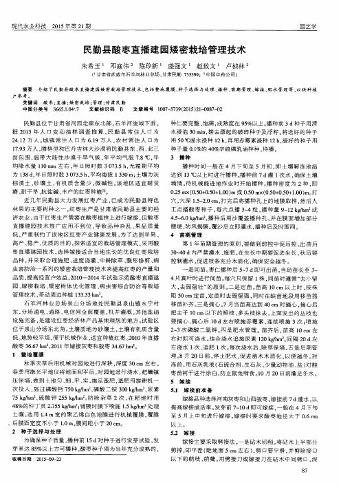 民勤县酸枣直播建园矮密栽培管理技术
