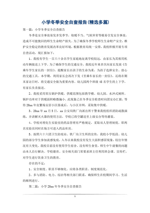 小学冬季安全自查报告(精选多篇)