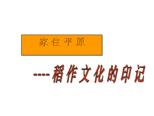 人教版七年级历史与社会上册 3.稻作文化的印记(共19张PPT)_2