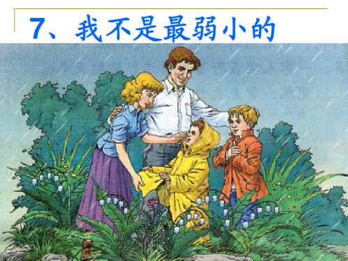 我不是最弱小ppt