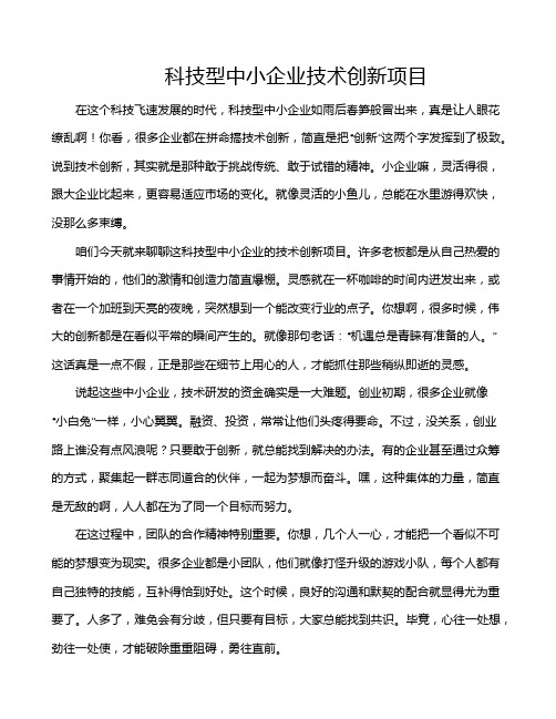 科技型中小企业技术创新项目