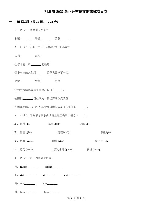河北省2020版小升初语文期末试卷A卷(新版)