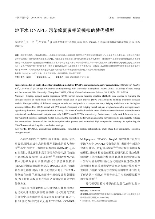 地下水DNAPLs污染修复多相流模拟的替代模型