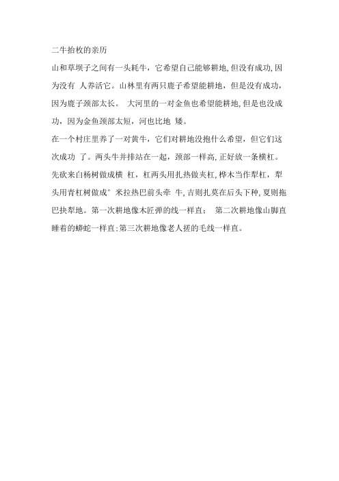 藏族民间故事-二牛抬枚的亲历