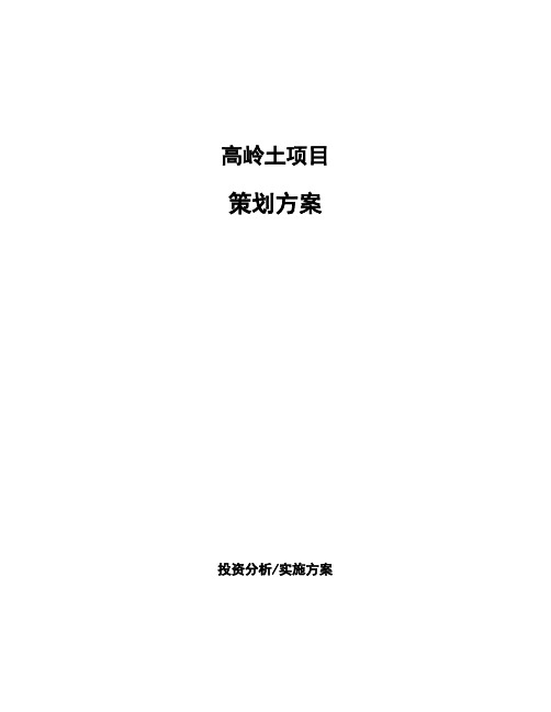 高岭土项目策划方案