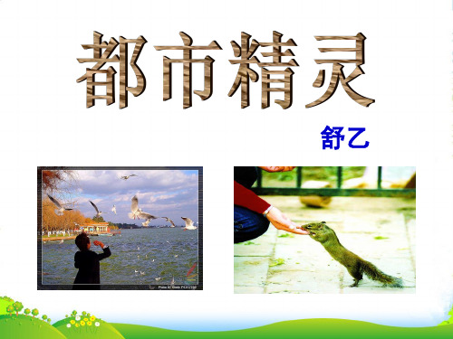 苏教版语文八年级上册《都市精灵》课件