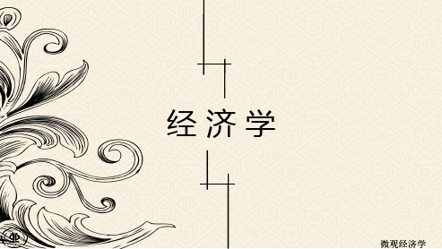 经济学-微观经济学-消费者行为理论
