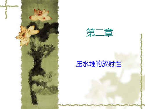 压水堆化学03