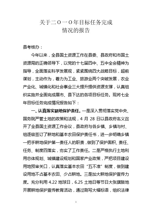 2010年国土资源工作总结doc
