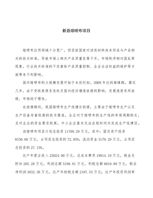 新县熔喷布项目立项申请报告