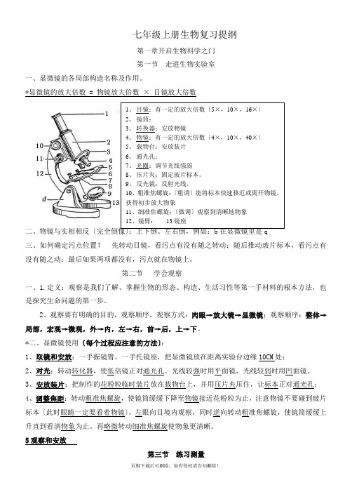 冀教版七年级上册生物复习提纲