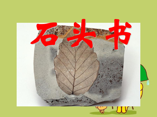 《石头书》4精品 课件 