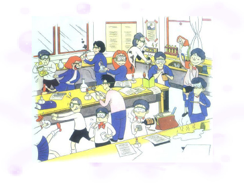 实验步骤ppt(精)