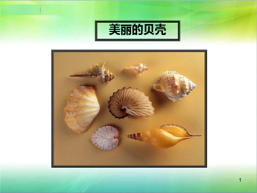 席慕容《贝壳》PPT课件