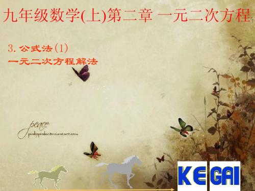 §2-3 公式法1 一元二次方程的解法