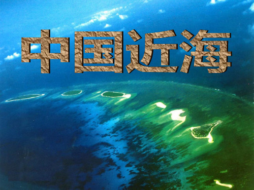 中国的 南海