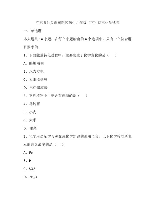 广东省汕头市潮阳区初中九年级(下)
