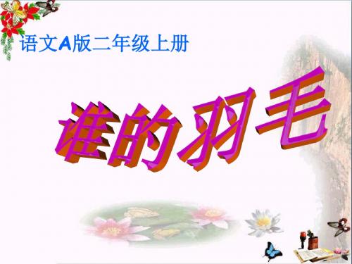 《谁的羽毛》PPT课件