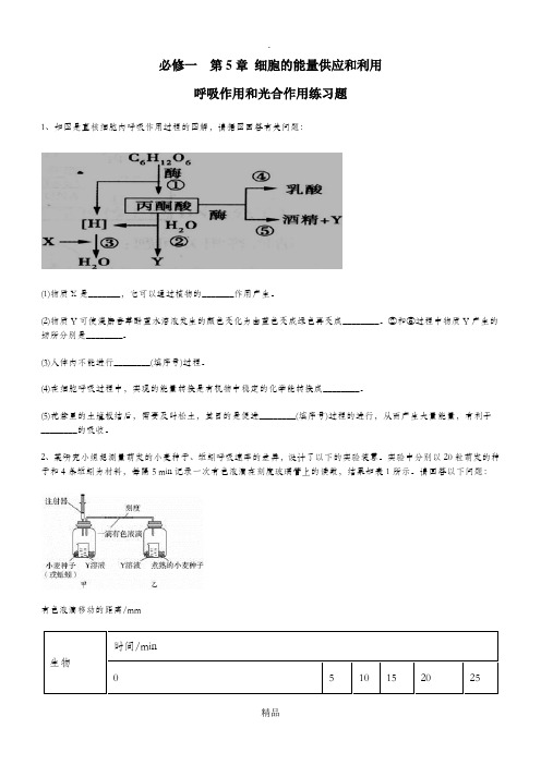 高一生物光合作用和呼吸作用练习题