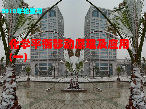 化学课件《化学平衡移动原理及应用》优秀ppt 苏教版