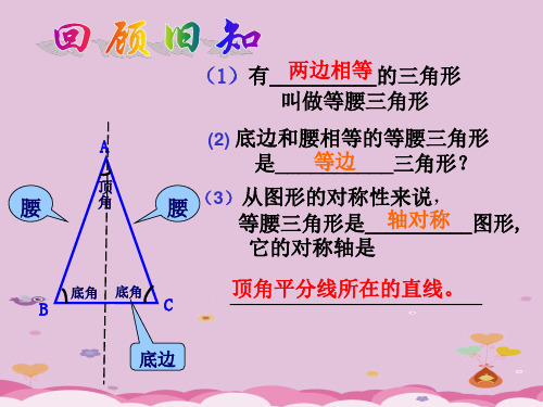 浙教版初中数学八年级上册 2.3 等腰三角形的性质定理  课件  优质课件PPT