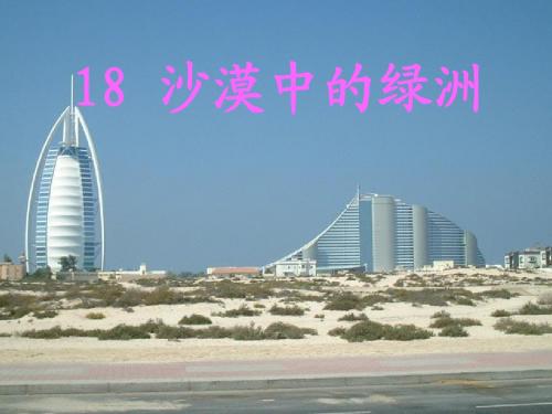 沙漠中的绿洲 (1)