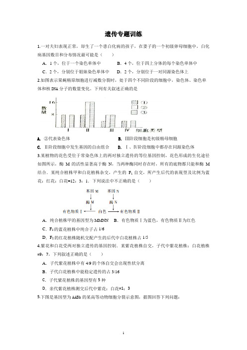 遗传专题训练带答案解析