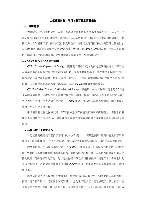 二氧化碳捕集、利用与封存技术0404