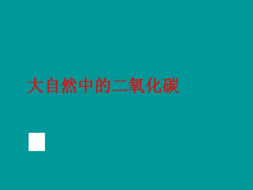 6.3 大自然中的二氧化碳 课件(鲁教版九年级全册) (4)
