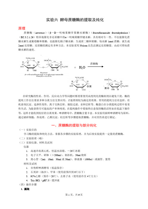 实验六 酵母蔗糖酶的提取及纯化——生化实验文档资料文档