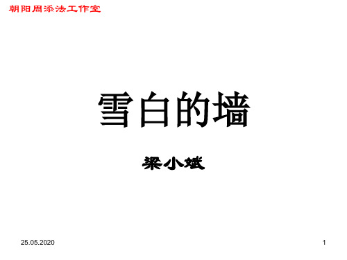 人教课标版高中语文 雪白的墙PPT课件