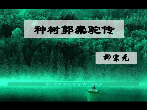 人教版高二语文选修《中国古代诗歌散文欣赏》课件：6.1《种树郭橐驼传》 (共17张PPT)