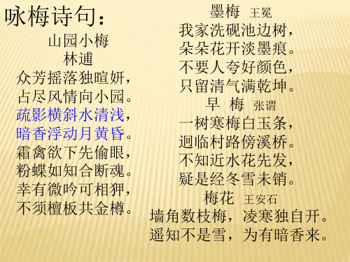 卜算子咏梅比较阅读