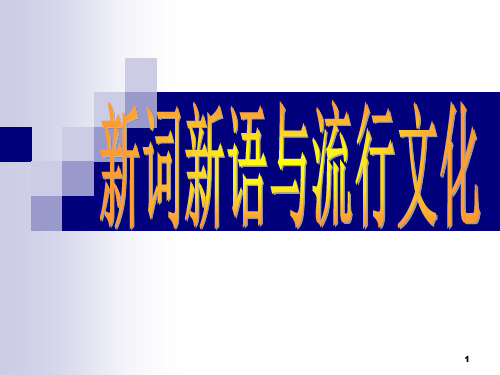 新词新语与流行文化高中部高一语文优秀ppt课件