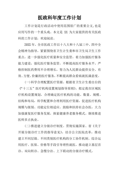 医政科年度工作计划