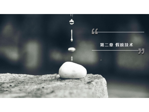 第二章 假肢概论