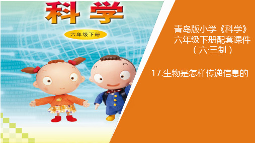 六年级下册科学《生物是怎样传递信息的》青岛版
