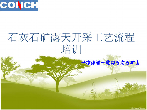 石灰石矿露天开采工艺流程培训 2