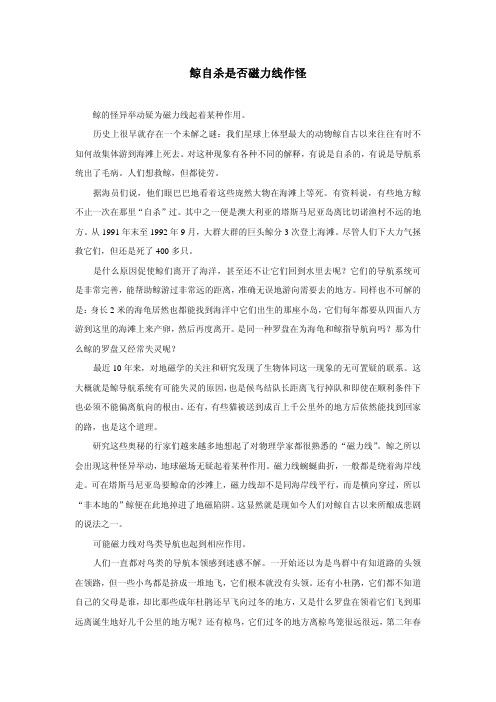 鲸自杀是否磁力线作怪
