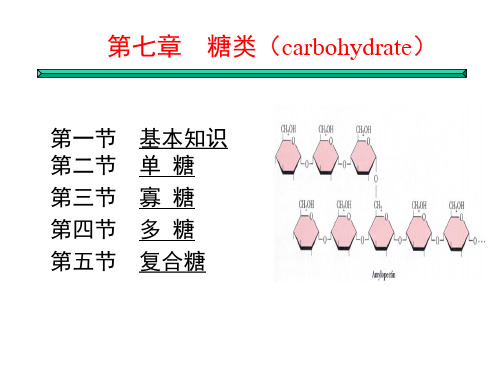 第7章 糖类