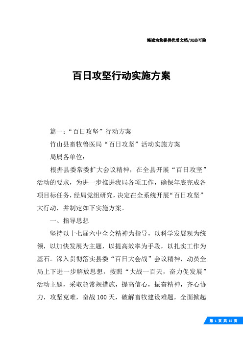 百日攻坚行动实施方案