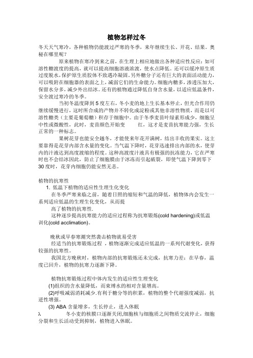 植物怎样过冬