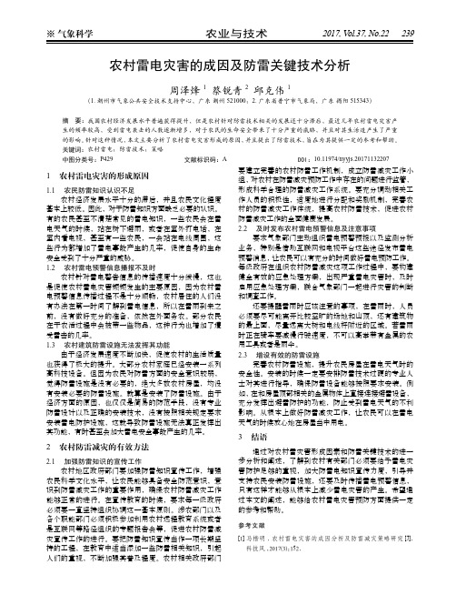 农村雷电灾害的成因及防雷关键技术分析