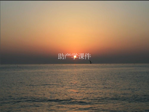 《助产学课件》PPT课件教案