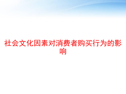 社会文化因素对消费者购买行为的影响 ppt课件