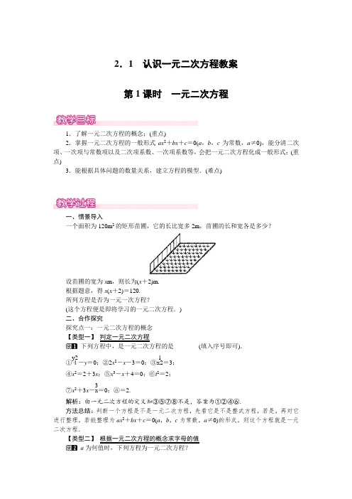 北师大版九年级数学上册第二章一元二次方程《认识一元二次方程》教案1
