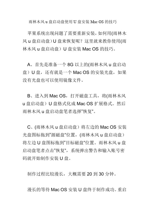 雨林木风u盘启动盘使用U盘安装Mac OS的技巧
