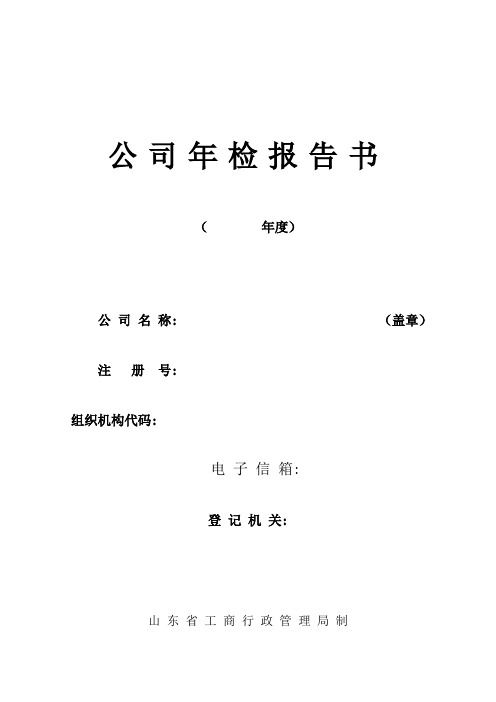 公司企业年检表